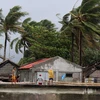 Bão Kammuri càn quét qua Philippines. (Ảnh: EPA)