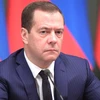 Thủ tướng Nga Dmitry Medvedev. (Ảnh: Điện Kremlin)