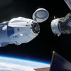 Tàu vận tải Dragon của SpaceX. (Ảnh: Nasa/SpaceX)