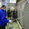 Phun thuốc khử trùng thánh đường Hồi giáo ở Qom.