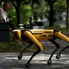 Singapore dùng chó robot giám sát người dân thực hiện giãn cách xã hội