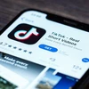 TikTok bị iOS 14 "bắt quả tang" thu thập dữ liệu người dùng. (Ảnh: 9to5mac)