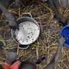 Trẻ em tại Nam Sudan đối mặt với khủng hoảng nhân đạo. (Ảnh: AFP/TTXVN)