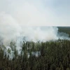 Khói mù do cháy rừng tại Siberia. (Ảnh: Reuters)