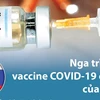 [Infographics] Nga trình làng vắcxin COVID-19 đầu tiên trên thế giới