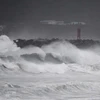 Hình ảnh bão Haishen càn quét qua phía Nam Hàn Quốc
