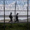Biên giới Hàn Quốc-Triều Tiên. (Ảnh: AFP/Getty)