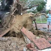Thừa Thiên-Huế vẫn an toàn sau khi cơn bão số 13 càn quét qua