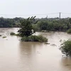 Ninh Thuận chịu thiệt hại nghiêm trọng do mưa lũ, sạt lở nhiều nơi