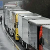 Dòng xe tải kẹt cứng do Pháp đóng cửa biên giới với Anh. (Ảnh: Reuters)