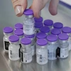 Các hãng dược phẩm cam kết cung cấp thêm vắcxin ngừa COVID-19 cho EU
