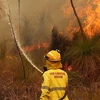 Lực lượng cứu hỏa nỗ lực dập tắt đám cháy. (Ảnh: News.com.au)