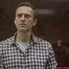 Nhân vật đối lập Alexei Navalny. (Ảnh: Reuters)