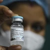 Vắcxin Covaxin do công ty dược Bharat Biotech phát triển. (Ảnh: AFP/TTXVN)