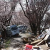 Tổng thư ký LHQ tưởng nhớ các nạn nhân thảm họa kép Nhật Bản