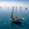 OPEC lạc quan về triển vọng tăng nhu cầu dầu mỏ trong năm nay