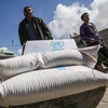 Người dân Palestine nhận hàng viện trợ từ UNRWA. (Ảnh: AFP/TTXVN)
