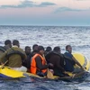 Tây Ban Nha phát hiện gần 100 người nhập cư trái phép