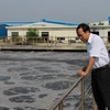 Các bể chứa nước thải của Nhà máy xử lý nước thải tại Khu chế xuất Linh Trung 3. (Ảnh: Lê Đức Hoảnh/Vietnam+)