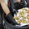 Tây Ban Nha phát động chiến dịch chống lãng phí thức ăn