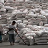 Philippines tổ chức phiên đấu giá mở mua 800.000 tấn gạo