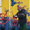 Nga đòi Ukraine trả 11,4 tỷ USD tiền giảm giá khí đốt