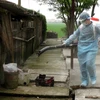 [Photo] Diễn tập thực địa phòng chống dịch cúm A ở người