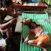 [Photo] Bùng phát dịch bệnh giống dịch tả tại Philippines