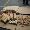 Phát hiện 90 kg ngà voi đội lốt thực phẩm tuồn vào Việt Nam