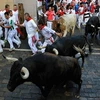 Sáu người nhập viện sau lễ hội "bò rượt" ở Tây Ban Nha 
