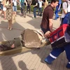 Nga: Tàu điện ngầm trật đường ray, hơn 100 người thương vong