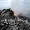 Lãnh đạo Mỹ, Ukraine, Malaysia điện đàm về vụ máy bay rơi