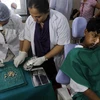 Ấn Độ: Ca phẫu thuật "kỷ lục" loại bỏ 232 chiếc răng thừa