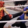 Khai mạc giải Boxing và Võ thuật cổ truyền Let’s Việt 2014