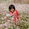 [Photo] Hà Giang đẹp mê lòng trong mùa hoa tam giác mạch