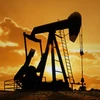 Indonesia hủy bỏ thuế đất trong hoạt động thăm dò dầu khí 
