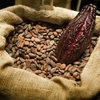 Côte d'Ivoire cần tránh "vết xe đổ" dư thừa sản lượng cacao