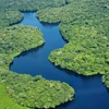 Rừng Amazon đang giảm dần khả năng hấp thụ khí CO2 