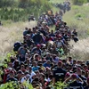 Dòng ​người di cư tại khu vực biên giới Hungary-Croatia ngày 21/9. (Ảnh: AFP/TTXVN)