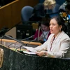 Đại sứ Nguyễn Phương Nga phát biểu tại một phiên họp của Liên hợp quốc. (Nguồn: TTXVN)