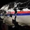 Các nhà điều tra lắp ghép lại phần đầu của chiếc máy bay xấu số MH17. (Ảnh: Reuters)