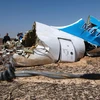  Hiện trường vụ tai nạn máy bay A321 của Nga. (Nguồn: Bộ Tình trạng khẩn cấp Nga)