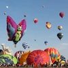Hàng trăm khinh khí cầu tham gia lễ hội. (Nguồn: wikimedia.org)