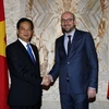 Thủ tướng Nguyễn Tấn Dũng bắt tay Thủ tướng Vương quốc Bỉ Charles Michel. (Ảnh: Đức Tám/TTXVN)