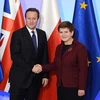Thủ tướng Anh David Cameron và người đồng cấp Ba Lan Beata Szydlo. (Ảnh: PAP)