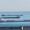 Tàu hàng của Nga bị tạm giữ tại cảng của Thổ Nhĩ Kỳ. (Nguồn: hurriyetdailynews.com)