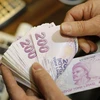 Đồng nội tệ lira của Thổ Nhĩ Kỳ. (Nguồn: financialtribune.com)