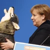Bà Angela Merkel cầm món quà hình con sói tại cuộc họp của đảng Dân chủ Cơ đốc giáo tại Karlsruhe. (Ảnh: AP)