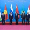 Thủ tướng các nước thành viên SCO tại hội nghị ngày 15/12. (Ảnh: THX/TTXVN)