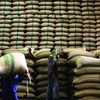 Ấn Độ đã vượt qua Thái Lan để trở thành nước xuất khẩu gạo lớn nhất thế giới. (Nguồn: todayonline.com)